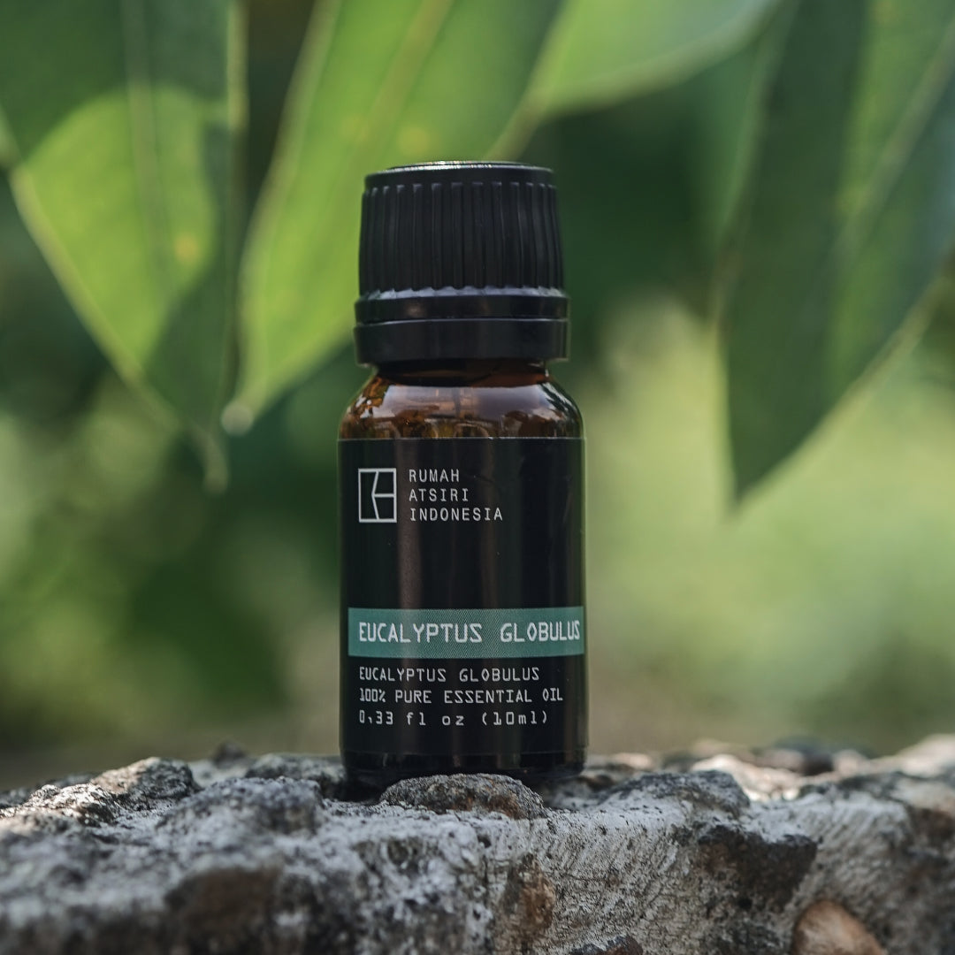 Eucalyptus Globulus Essential Oil by Rumah Atsiri