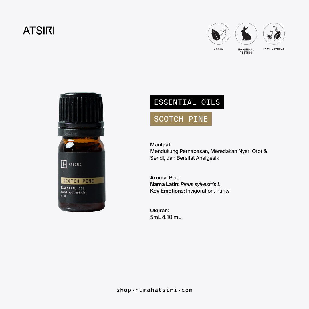 Scotch Pine Essential Oil by Rumah Atsiri