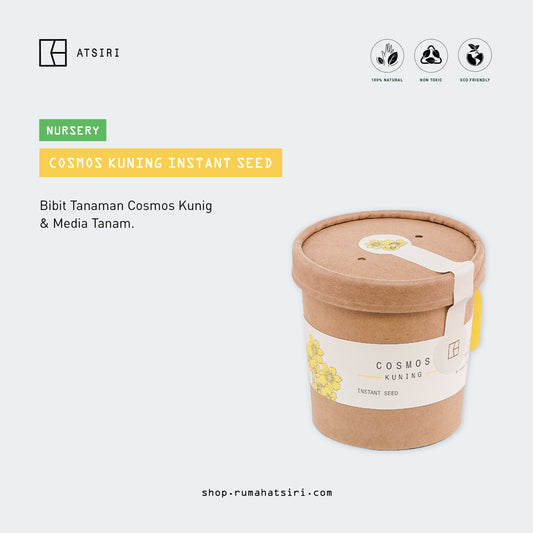 Cosmos Kuning Instant Seed