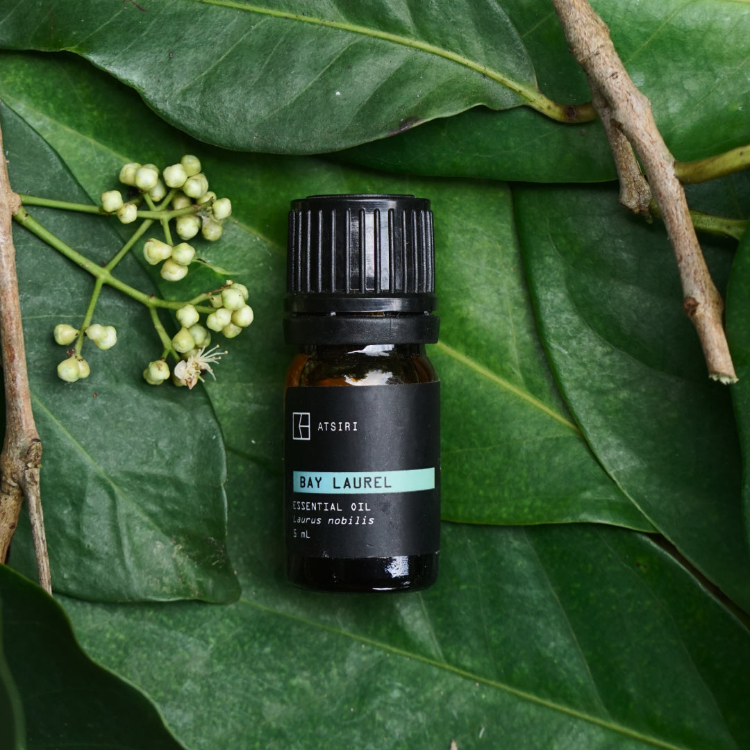 Bay Laurel Essential Oil by Rumah Atsiri