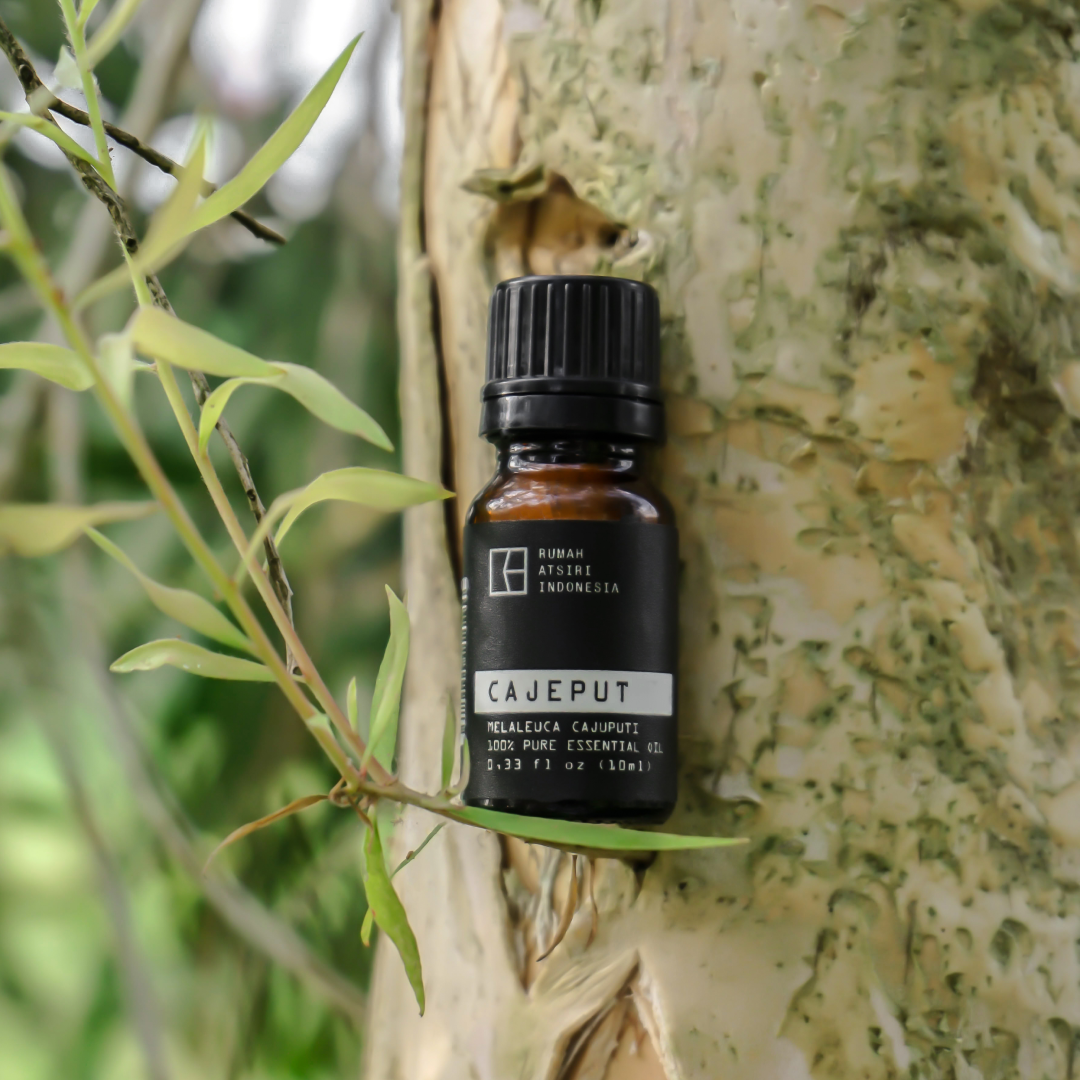 Cajuput Essential Oil by Rumah Atsiri
