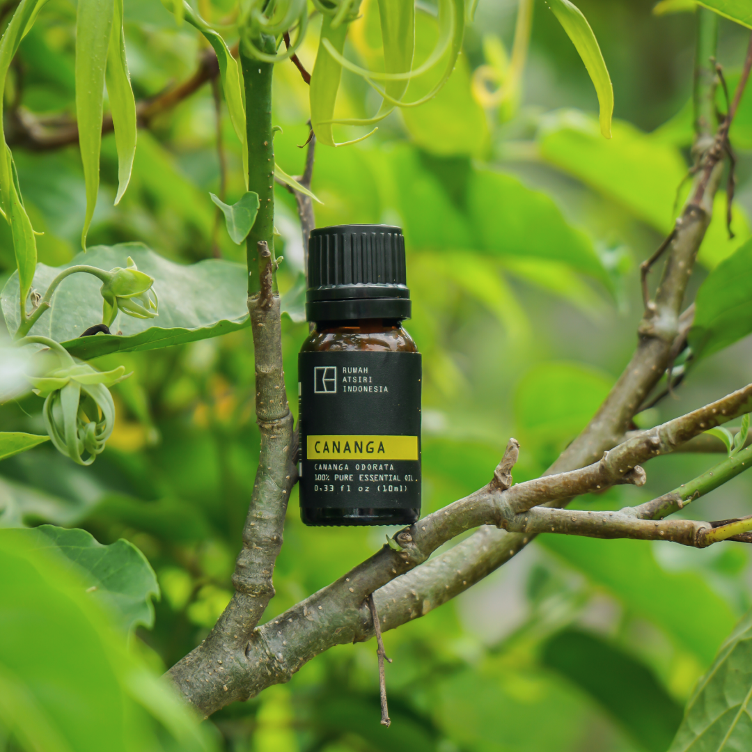 Cananga Essential Oil by Rumah Atsiri