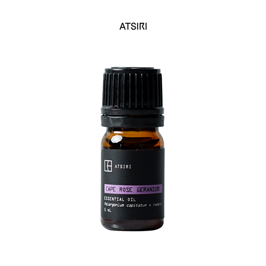 Cape Rose Geranium Essential Oil by Rumah Atsiri