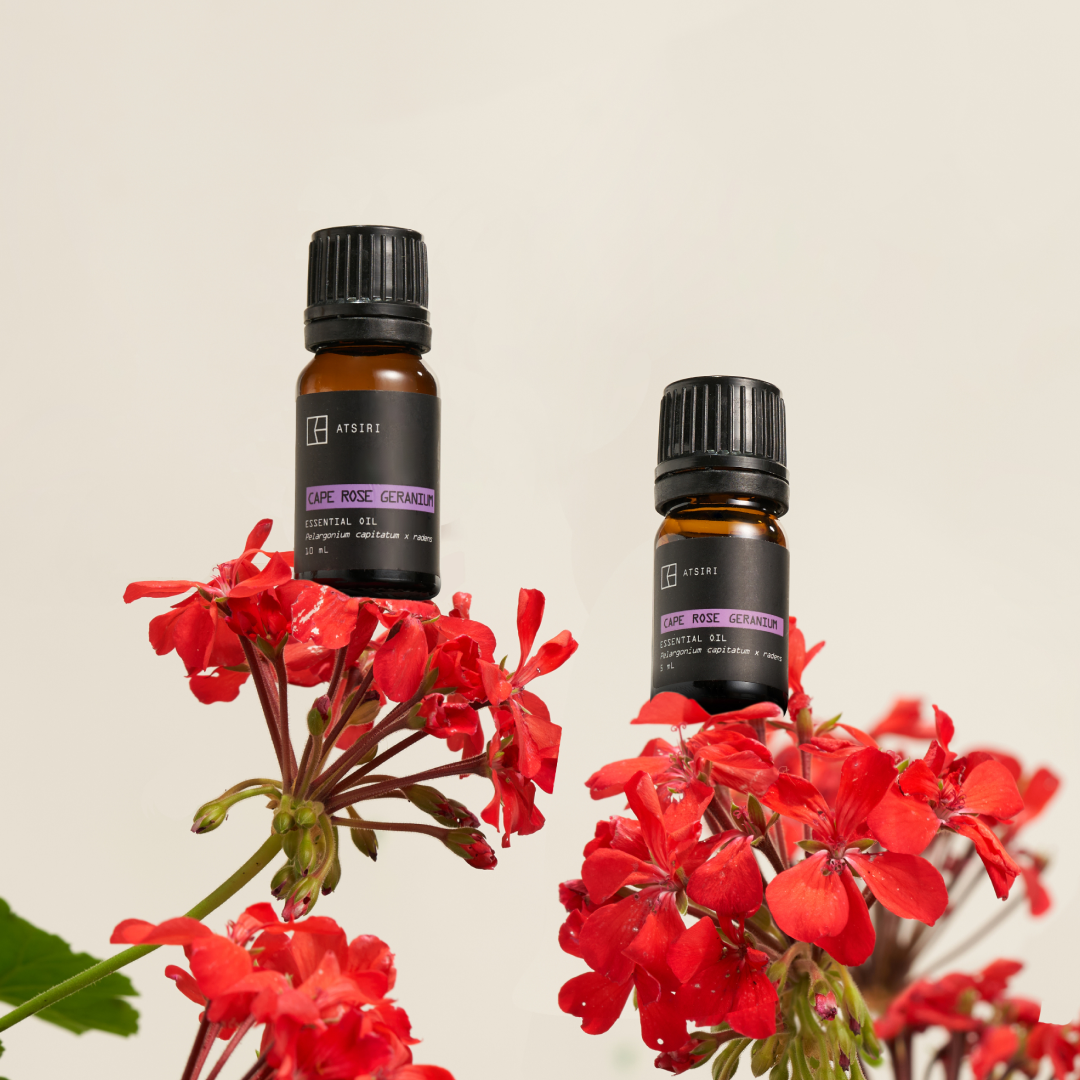 Cape Rose Geranium Essential Oil by Rumah Atsiri