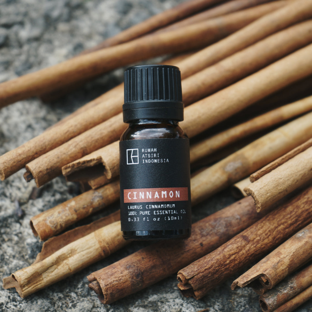 Cinnamon Bark Essential Oil by Rumah Atsiri