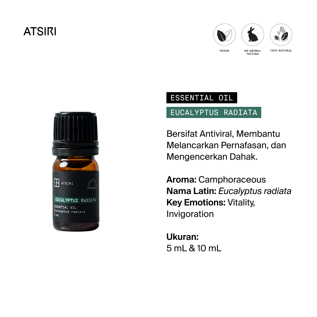 Eucalyptus Radiata Essential Oil by Rumah Atsiri