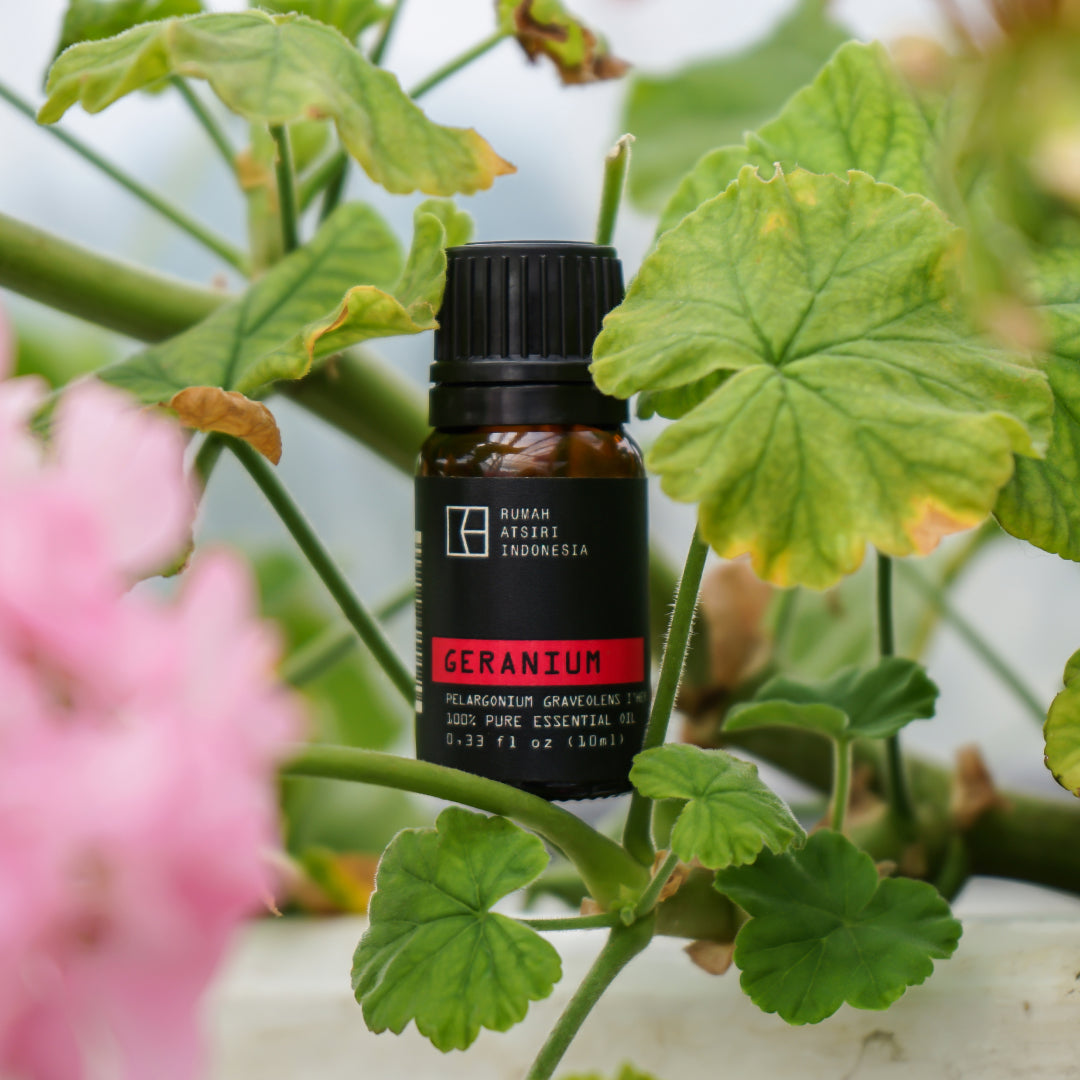 Geranium Essential Oil by Rumah Atsiri