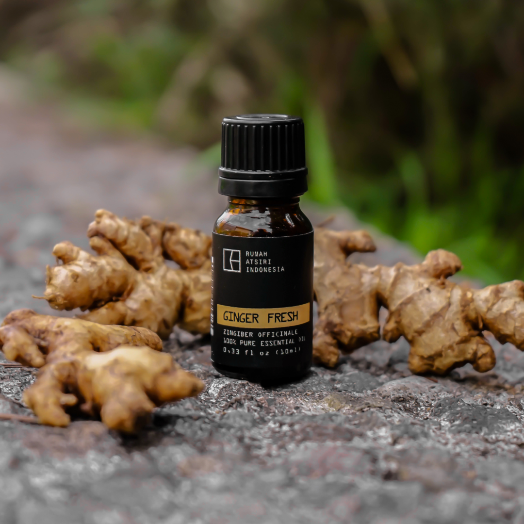 Ginger Fresh Essential Oil by Rumah Atsiri