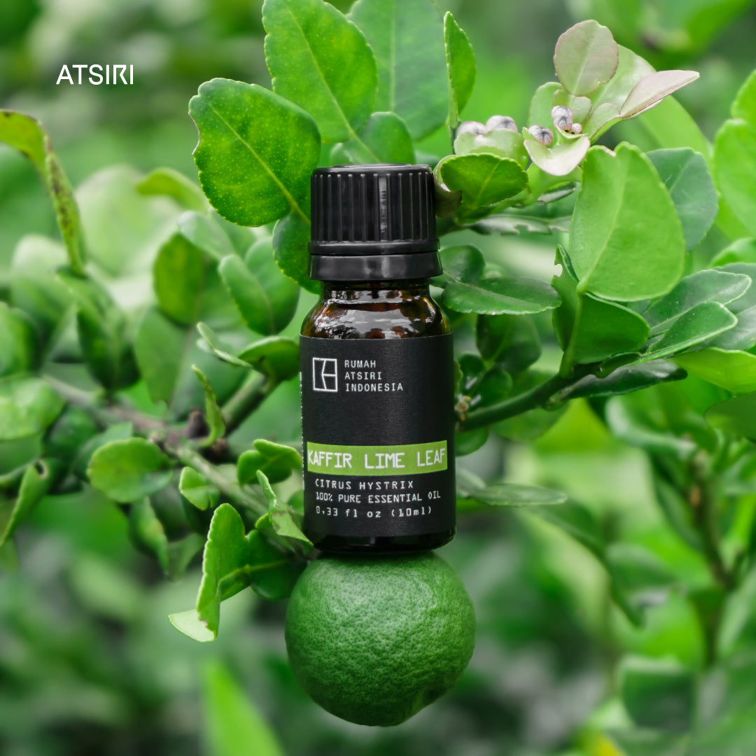 Kaffir Lime Leaf Essential Oil by Rumah Atsiri