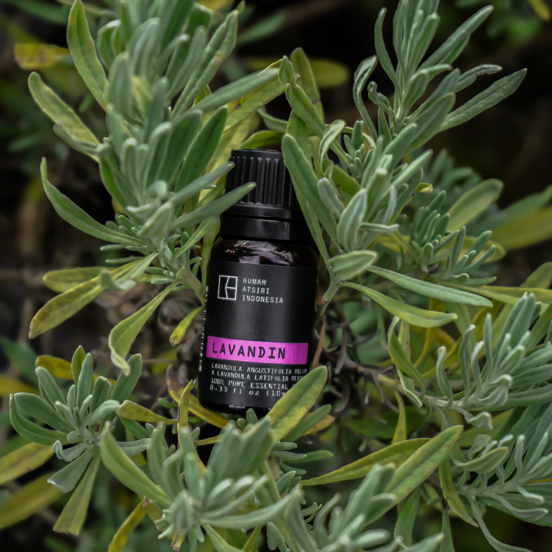 Lavandin Essential Oil by Rumah Atsiri