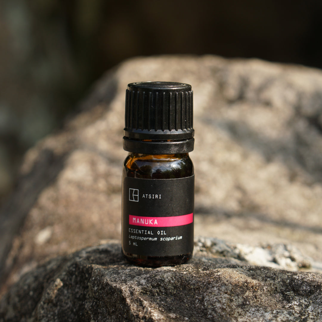 Manuka Essential Oil by Rumah Atsiri