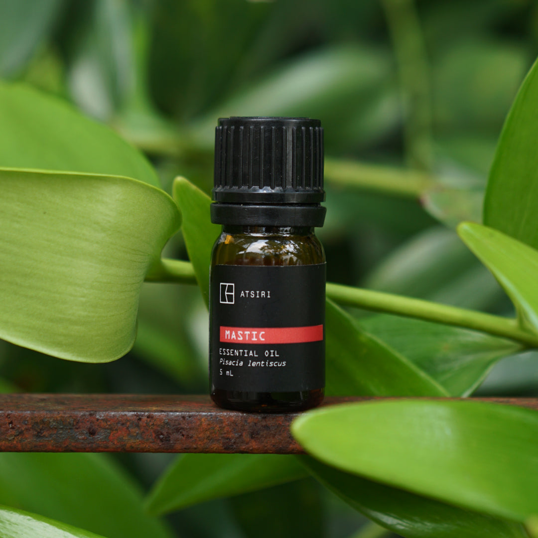 Mastic Essential Oil by Rumah Atsiri
