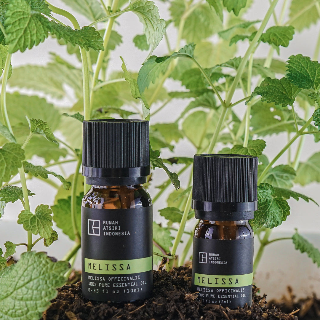 Melissa Essential Oil by Rumah Atsiri