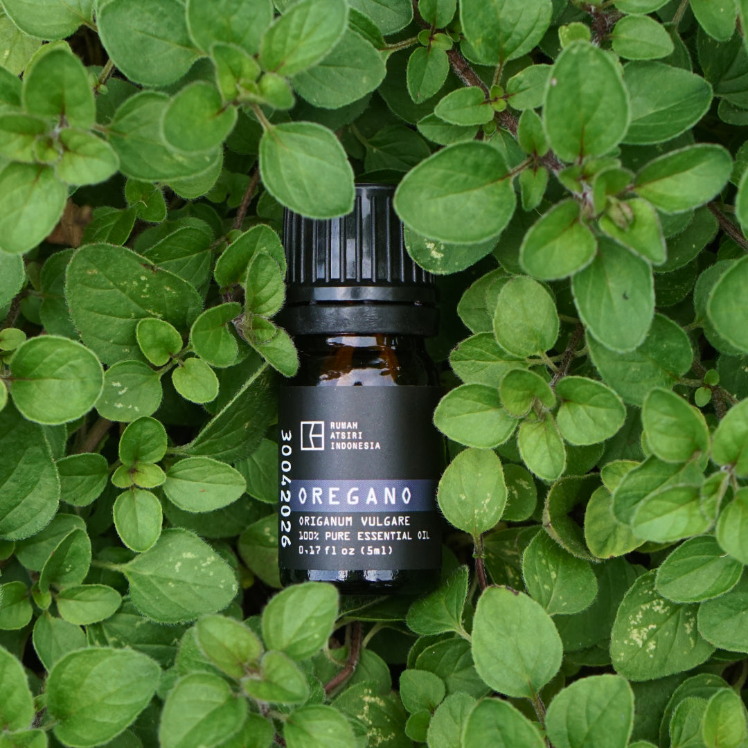Oregano Essential Oil by Rumah Atsiri