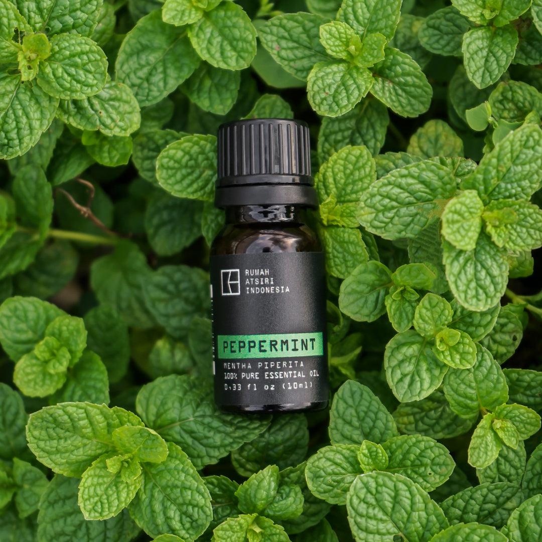 Peppermint Essential Oil by Rumah Atsiri