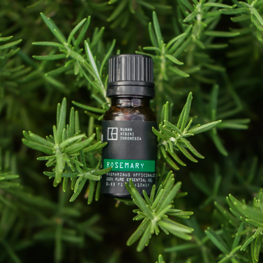 Rosemary Essential Oil by Rumah Atsiri