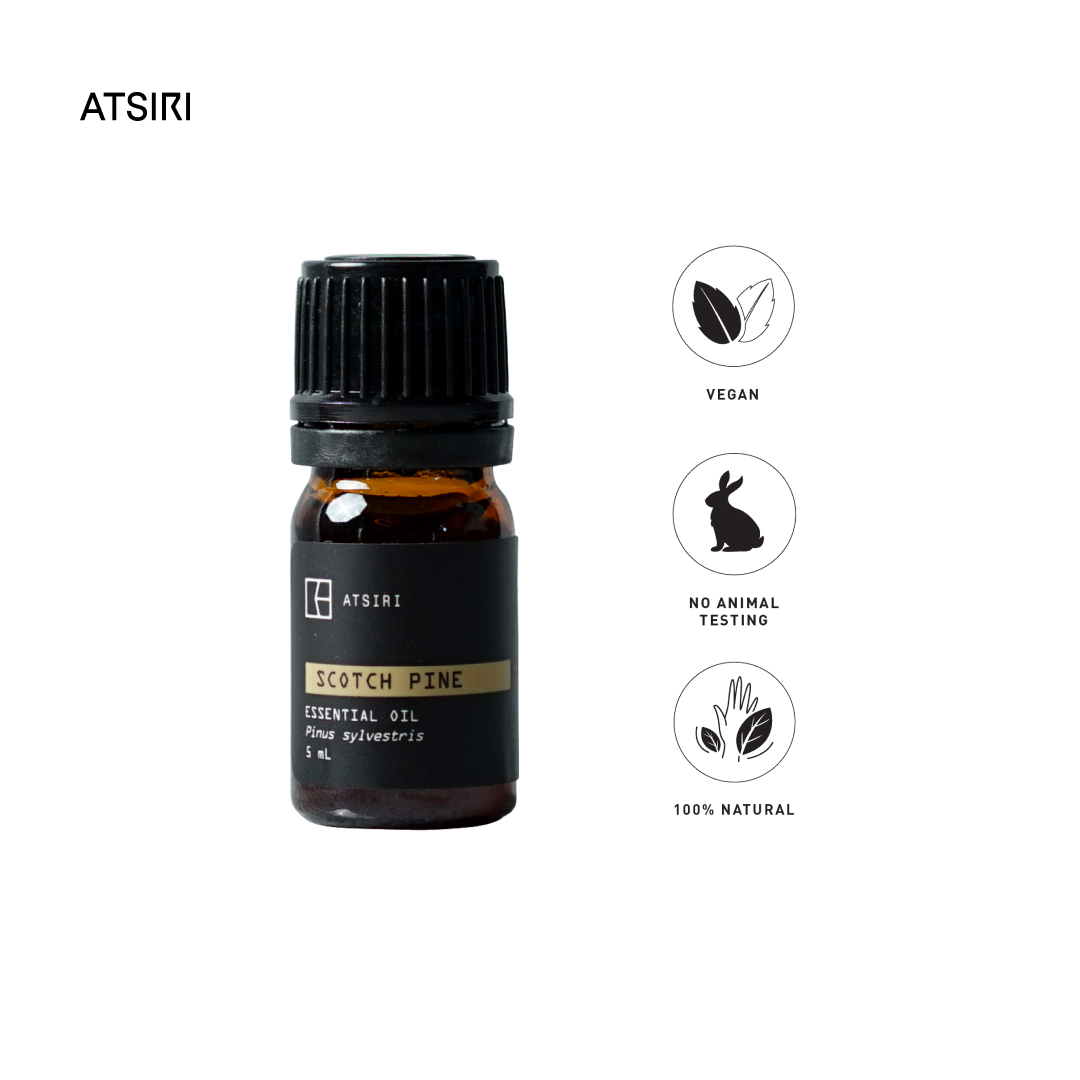 Scotch Pine Essential Oil by Rumah Atsiri