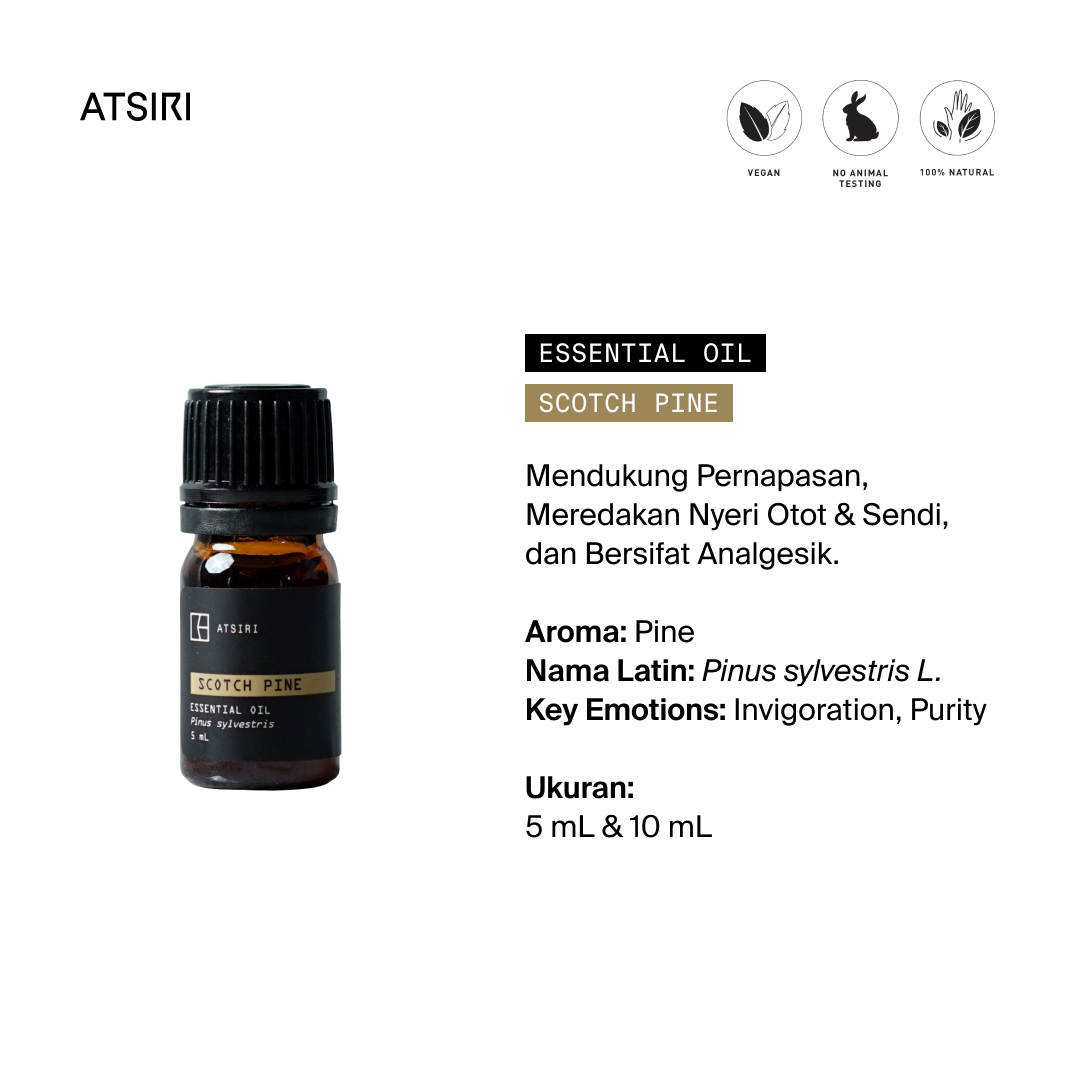 Scotch Pine Essential Oil by Rumah Atsiri