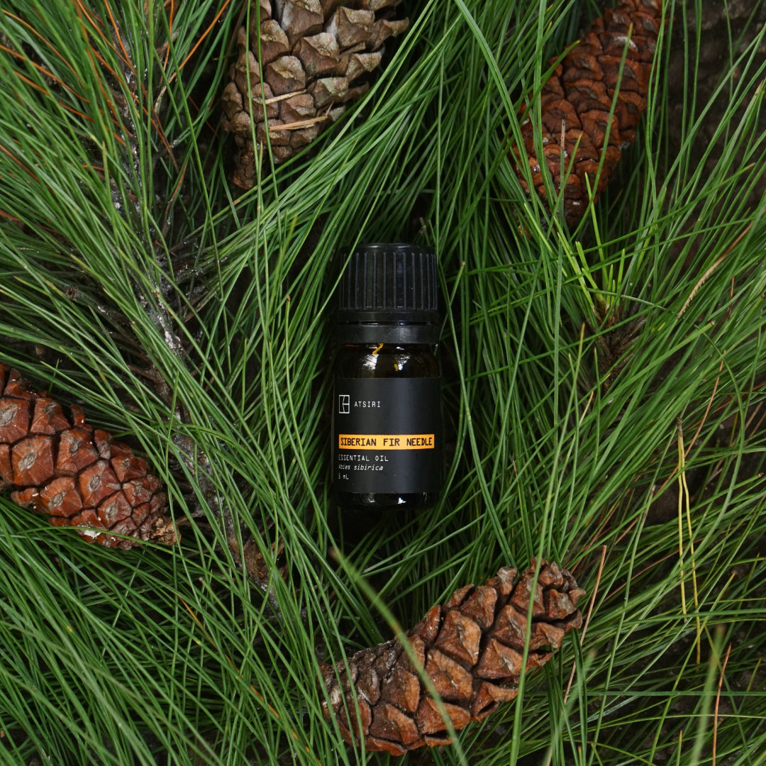 Siberian Fir Needle Essential Oil by Rumah Atsiri