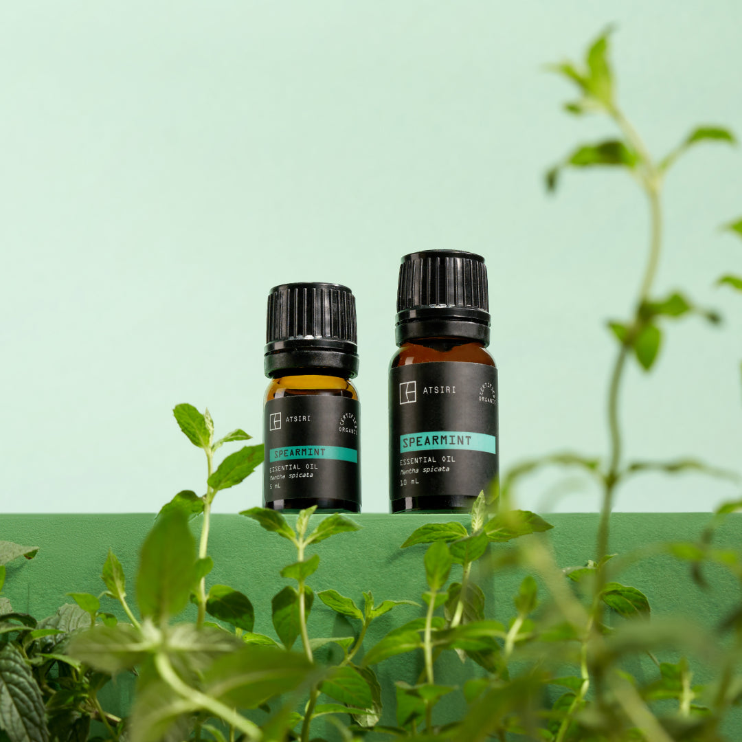 Spearmint Essential Oil by Rumah Atsiri