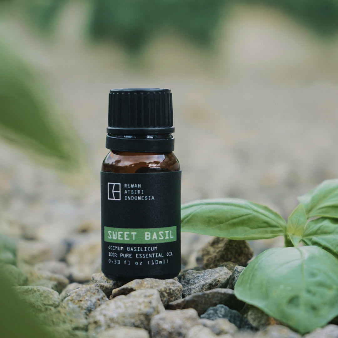 Sweet Basil Essential Oil by Rumah Atsiri