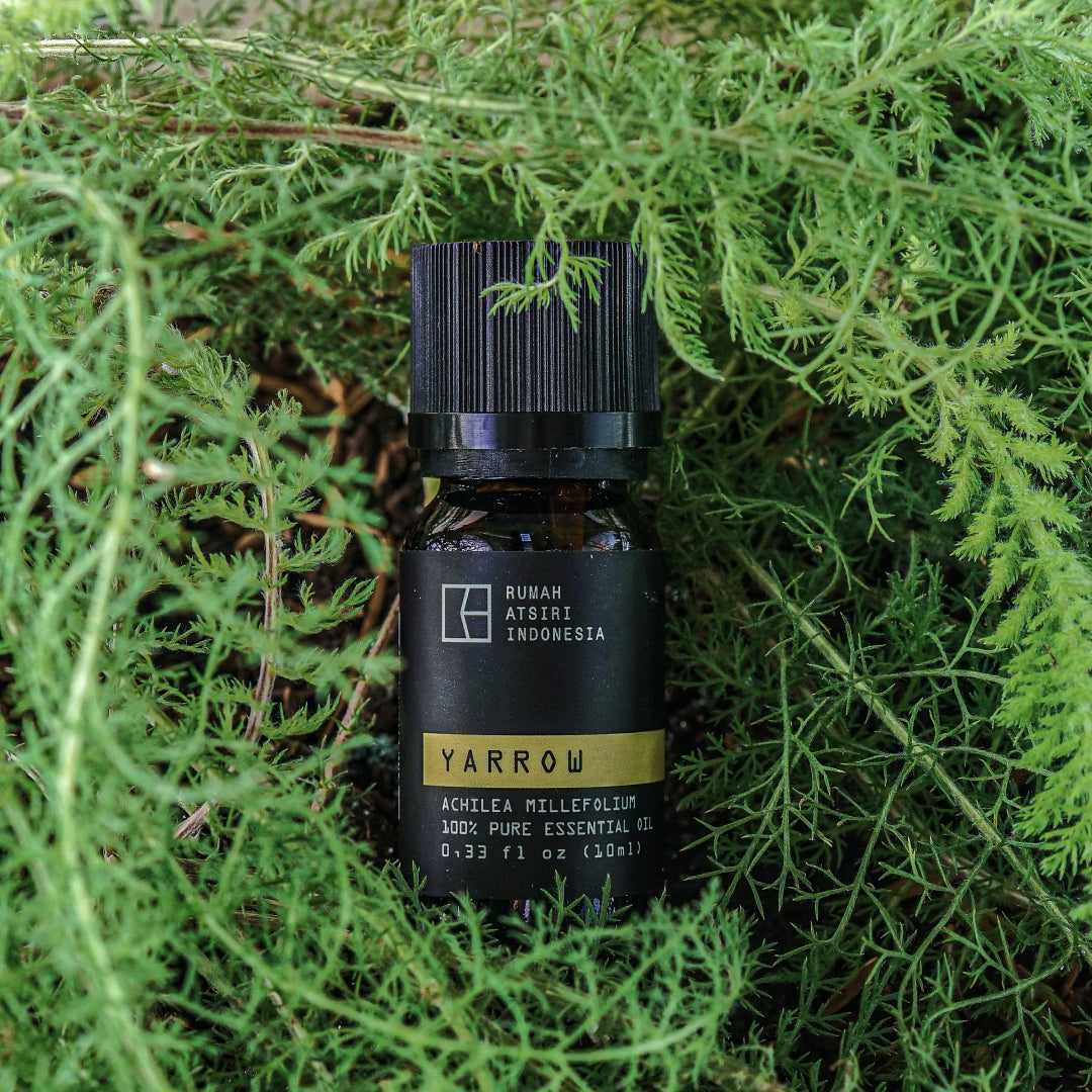 Yarrow Essential Oil by Rumah Atsiri