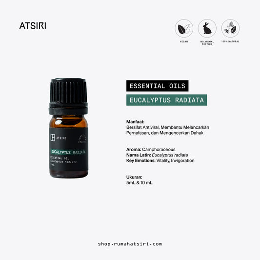 Eucalyptus Radiata Essential Oil by Rumah Atsiri