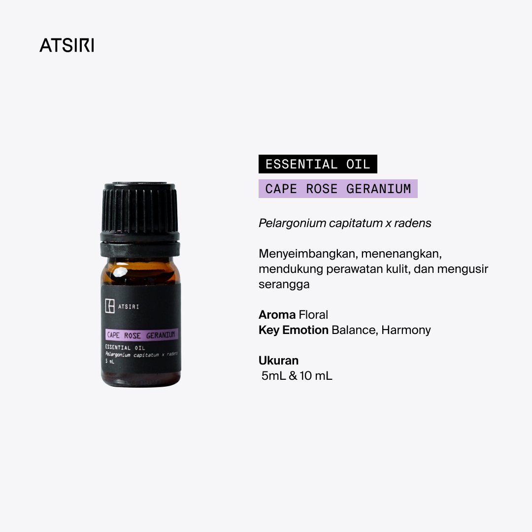 Cape Rose Geranium Essential Oil by Rumah Atsiri
