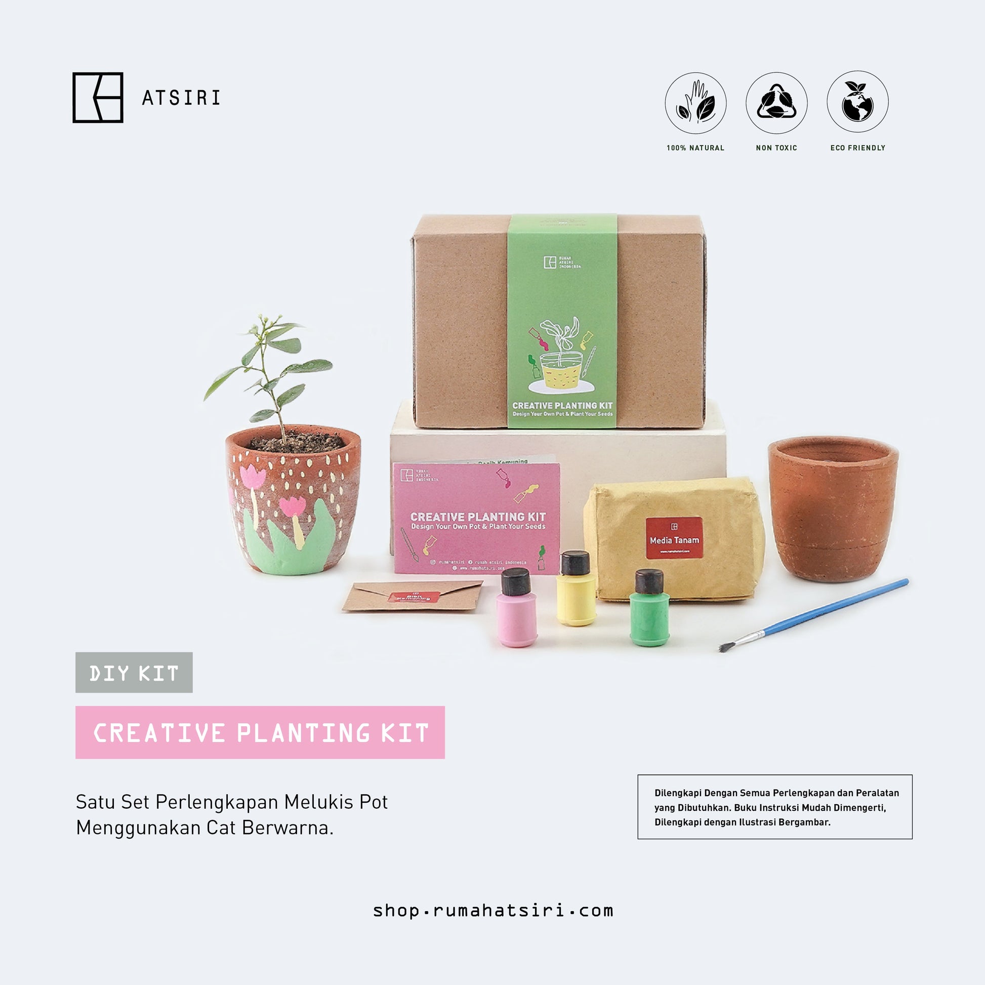 Creative Planting DIY Kit